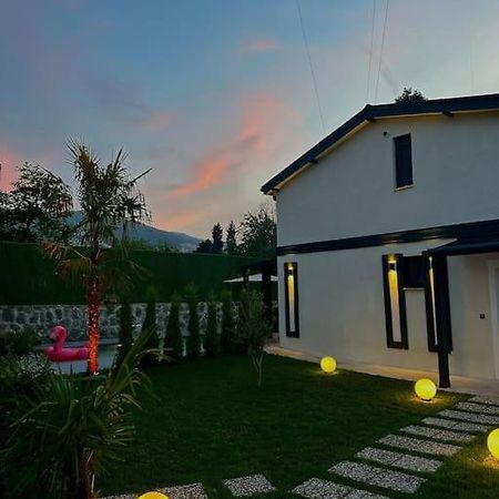 Shino Sapanca'Da Sicak Havuzlu Tatil Keyfi! Villa Exterior photo